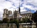 Catedrala Notre Dame 2